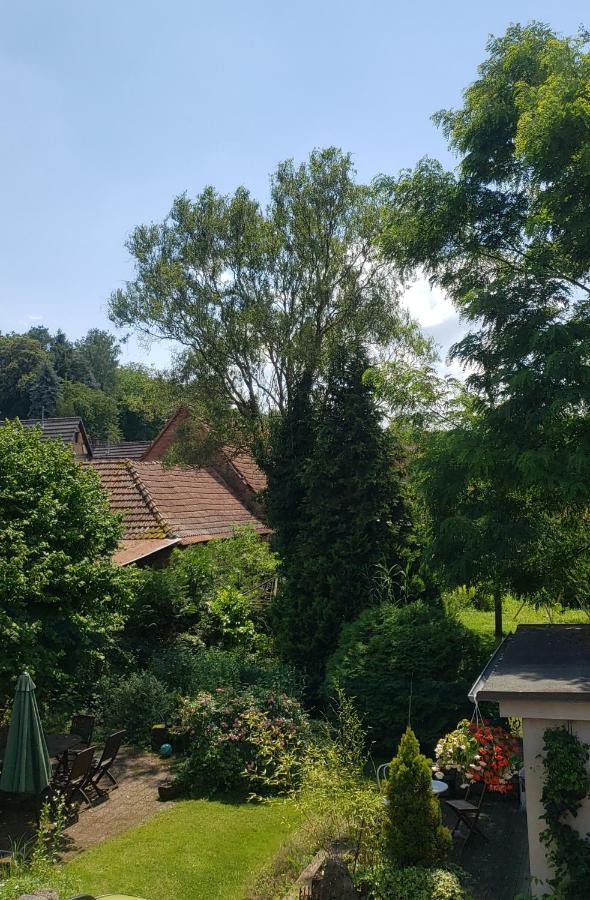 Gite A La Petite Fontaine-Plain Pied-Maison Alsacienne Renovee Avec Passion-4 Pers-4Nuitees Minimum Langensoultzbach Εξωτερικό φωτογραφία