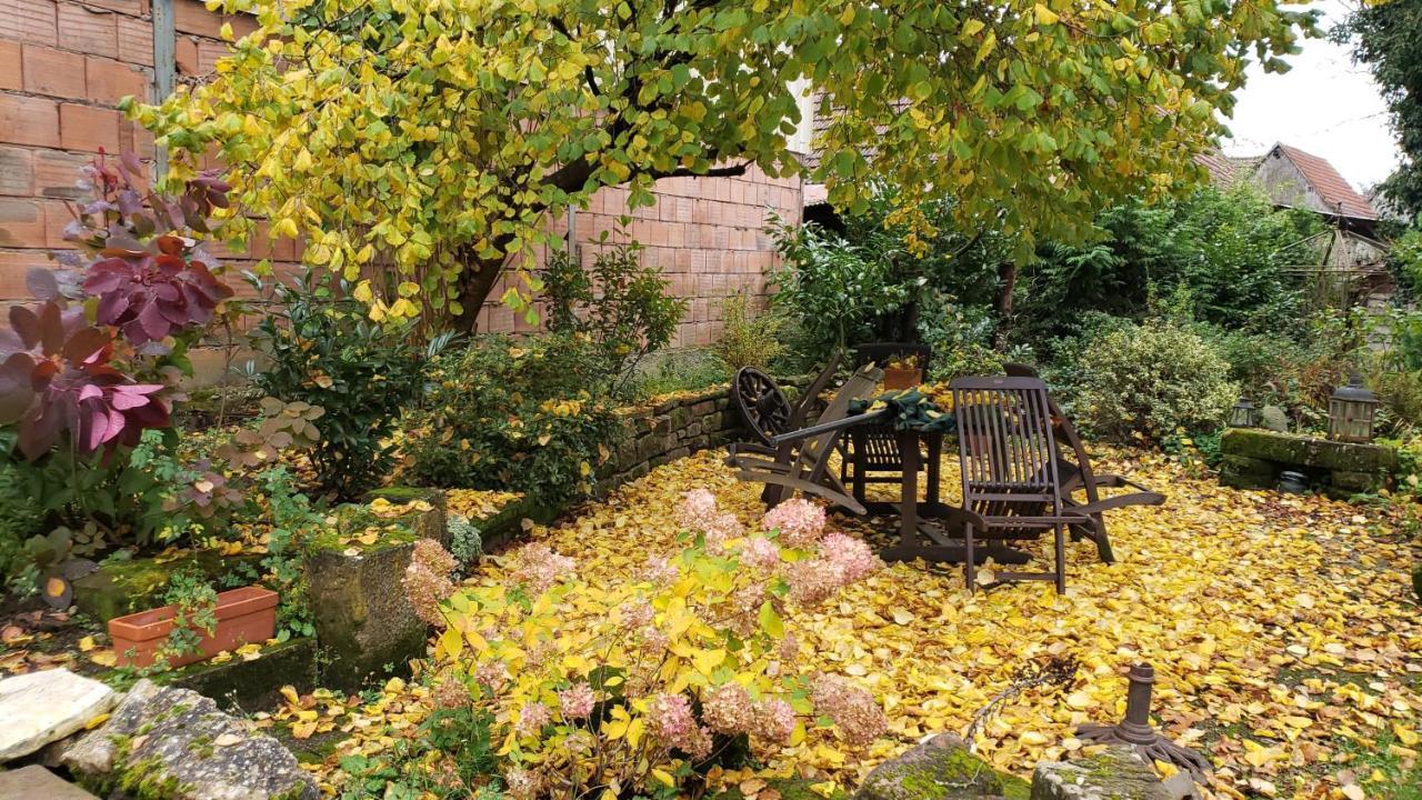 Gite A La Petite Fontaine-Plain Pied-Maison Alsacienne Renovee Avec Passion-4 Pers-4Nuitees Minimum Langensoultzbach Εξωτερικό φωτογραφία