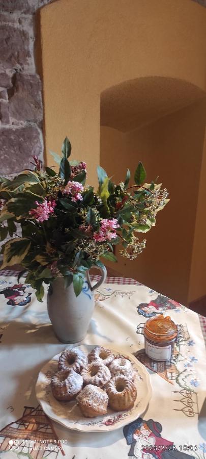 Gite A La Petite Fontaine-Plain Pied-Maison Alsacienne Renovee Avec Passion-4 Pers-4Nuitees Minimum Langensoultzbach Εξωτερικό φωτογραφία