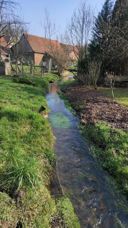 Gite A La Petite Fontaine-Plain Pied-Maison Alsacienne Renovee Avec Passion-4 Pers-4Nuitees Minimum Langensoultzbach Εξωτερικό φωτογραφία